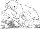 Bilder � fargelegge bjørn