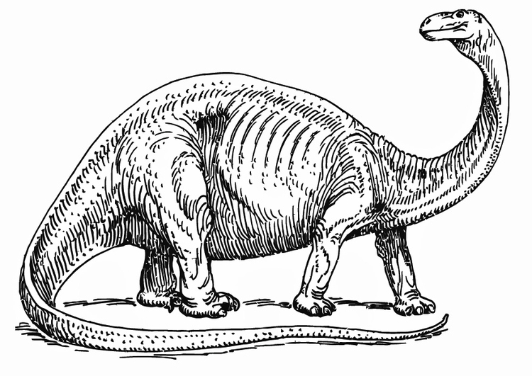 Bilde å fargelegge brontosaurus