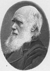 Bilder � fargelegge Charles Darwin