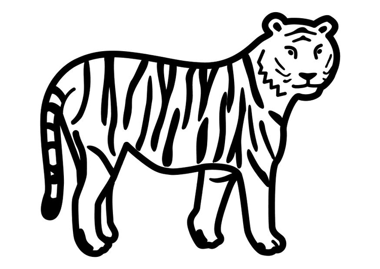 Bilde å fargelegge en tiger som stÃ¥r stille