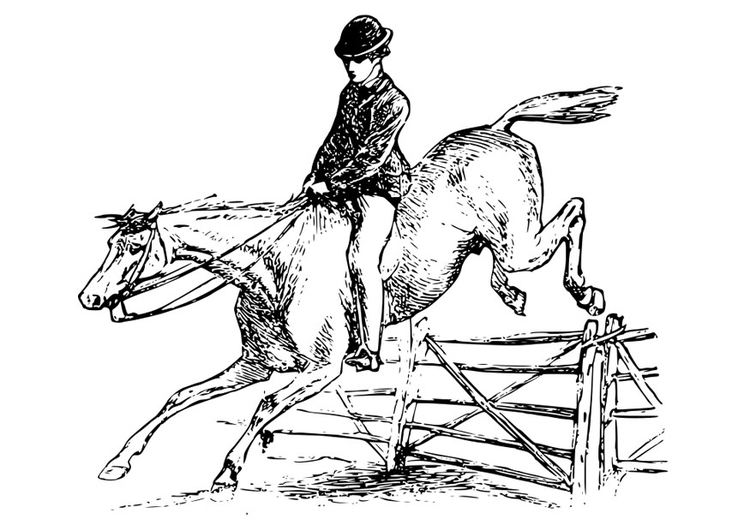 Bilde å fargelegge hest med rytter