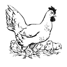 Bilder � fargelegge høne med kyllinger