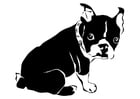 Bilder � fargelegge hund - fransk bulldog