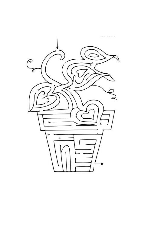 labyrint - plante