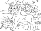 Bilder � fargelegge løve