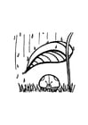 marihøne beskytter seg mot regnet