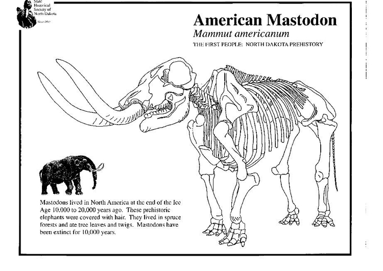 Bilde å fargelegge mastodon
