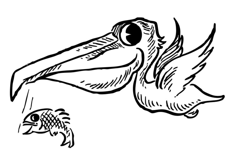 Bilde å fargelegge pelikan med fisk
