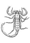 Bilder � fargelegge skorpion