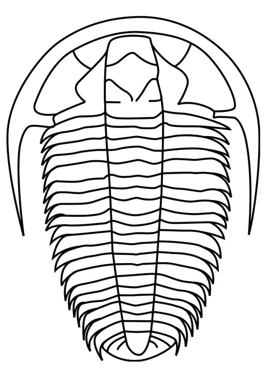 Bilde å fargelegge trilobitt