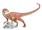 bilder Abrictosaurus dinosaur