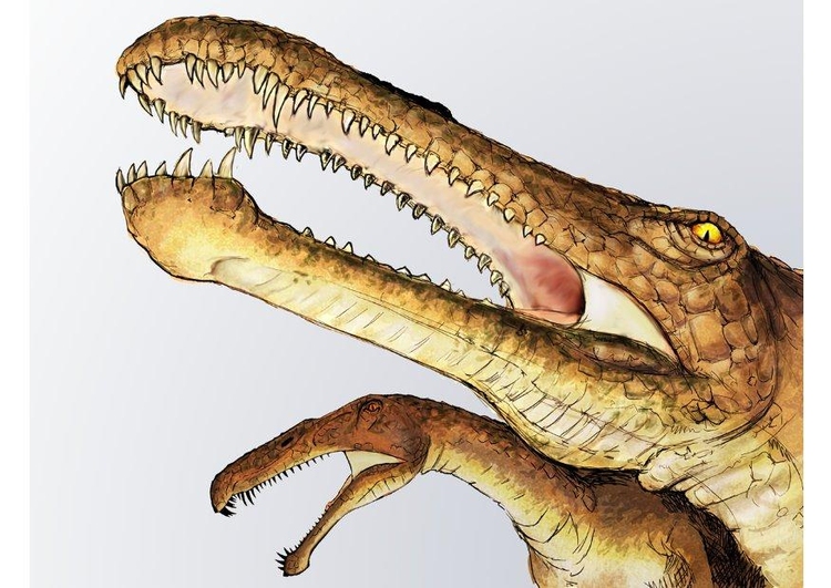 bilde Irritator dinosaur
