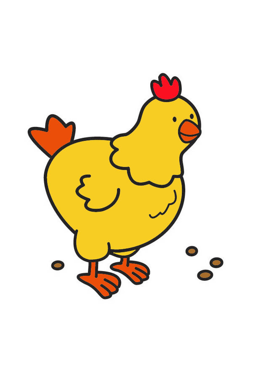 bilde kylling