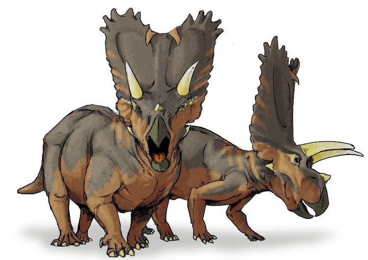 bilde Pentaceratops dinosaur
