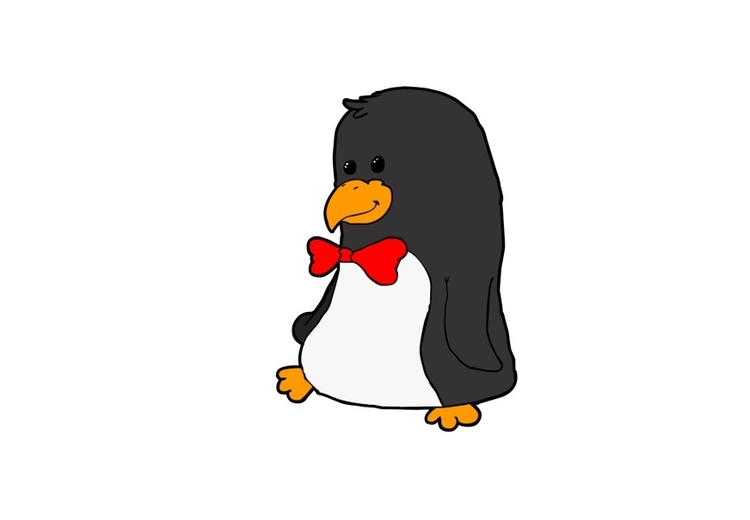 bilde pingvin