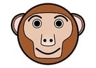 bilder r1 - ape