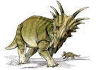 bilder Styracosaurus dinosaur