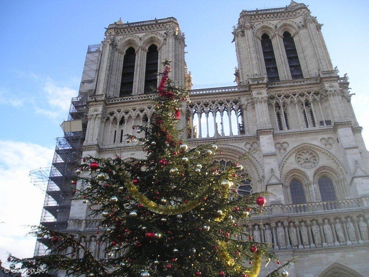 Foto Notre-Dame i Paris