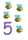 bilde 5