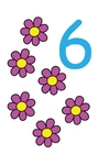 bilde 6