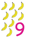 bilde 9