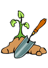 bilde å plante et træ
