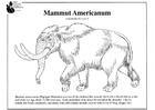 Bilder � fargelegge amerikansk mammut