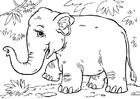 Bilder � fargelegge asiatisk elefant