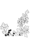 bær og blomster