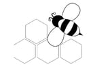 Bilde å fargelegge bie - bakside