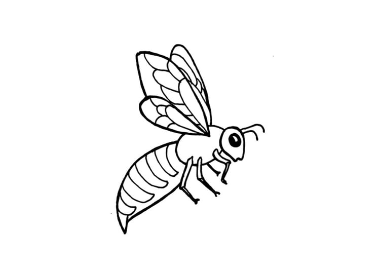 Bilde å fargelegge bie