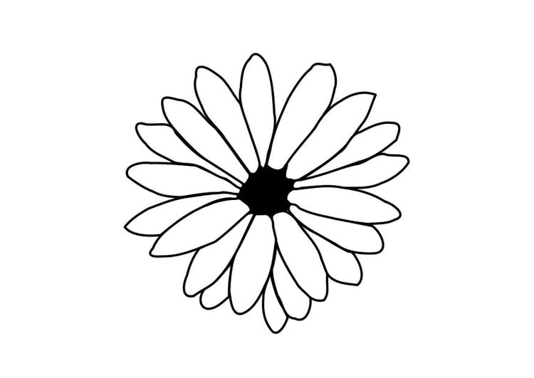 Bilde å fargelegge blomst