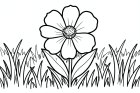 blomst i en eng