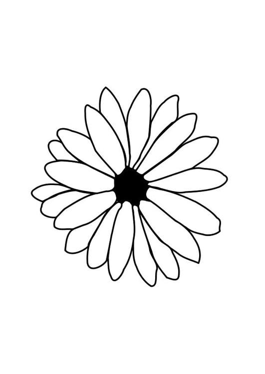 bilde-a-fargelegge-blomst-p11729.jpg