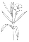 blomst