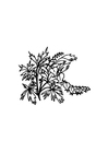 Bilde å fargelegge blomster pÃ¥ kirkegÃ¥rden