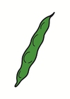 bilde bønne