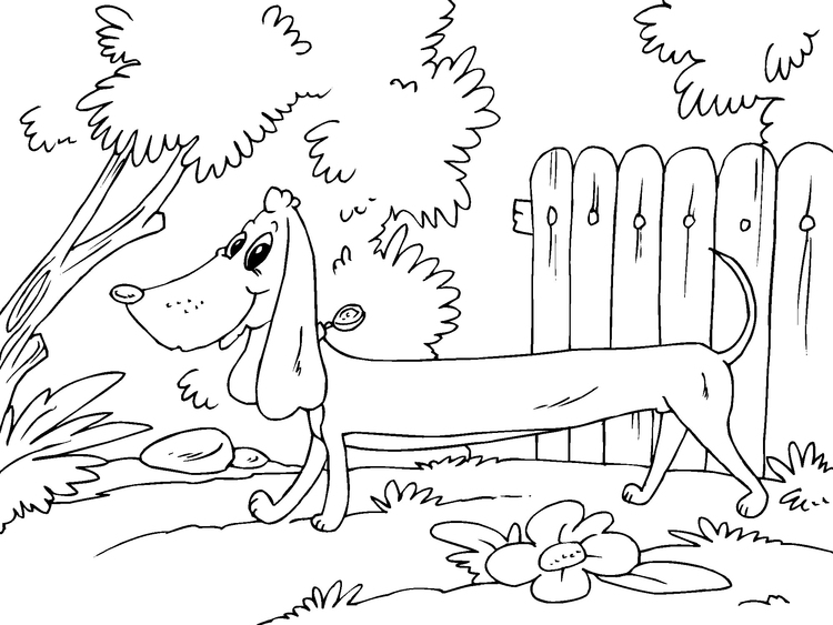 Bilde Fargelegge Dachshund Gratis Bildene For Fargelegging Bilde bilde-fargelegge-dachshund-gratis-bildene-for-fargelegging-bilde