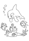 delfin og fisk med anker