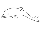 Fargeleggingsbilde delfin