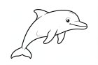 delfin