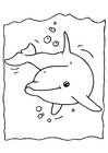 Fargeleggingsbilde delfin