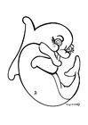 Fargeleggingsbilde delfin