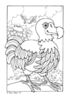 Fargeleggingsbilde dodo