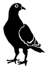 Bilde å fargelegge due