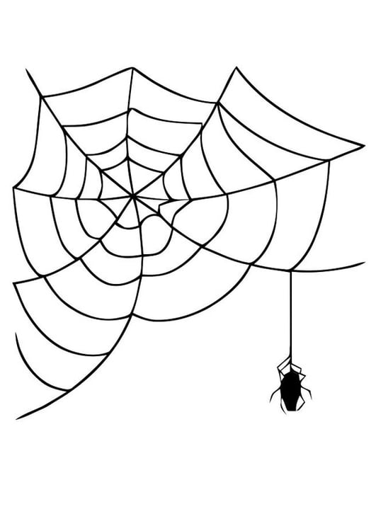 Bilde å fargelegge edderkopp med spindelvev