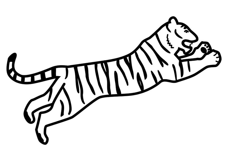 Bilde å fargelegge en tiger som hopper