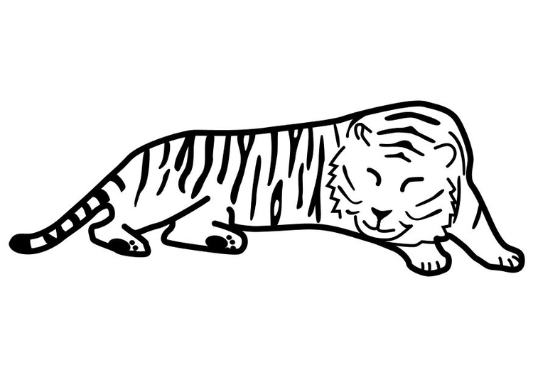 Bilde å fargelegge en tiger som sover