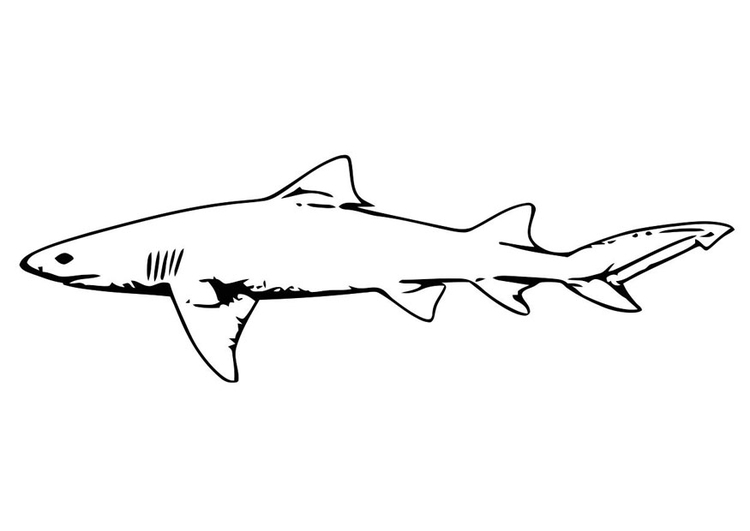 Bilde å fargelegge fisk - hai