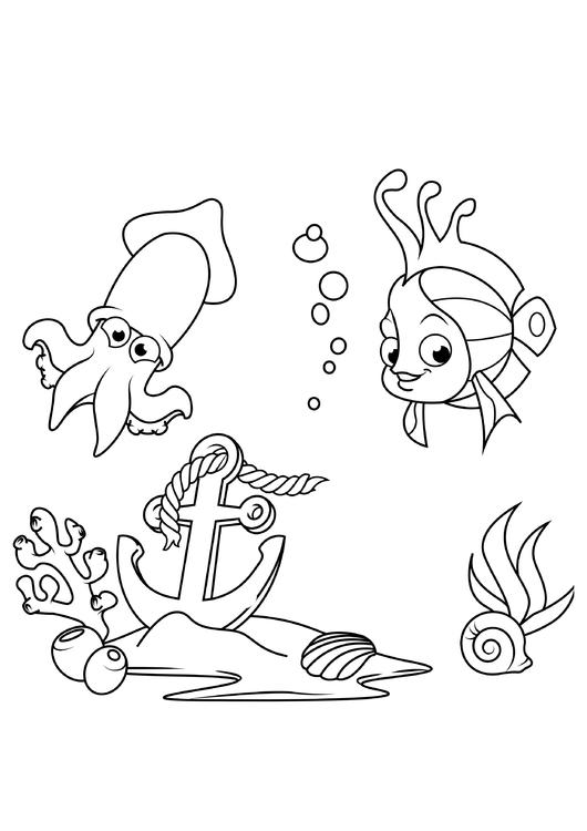 fisk og blekksprut